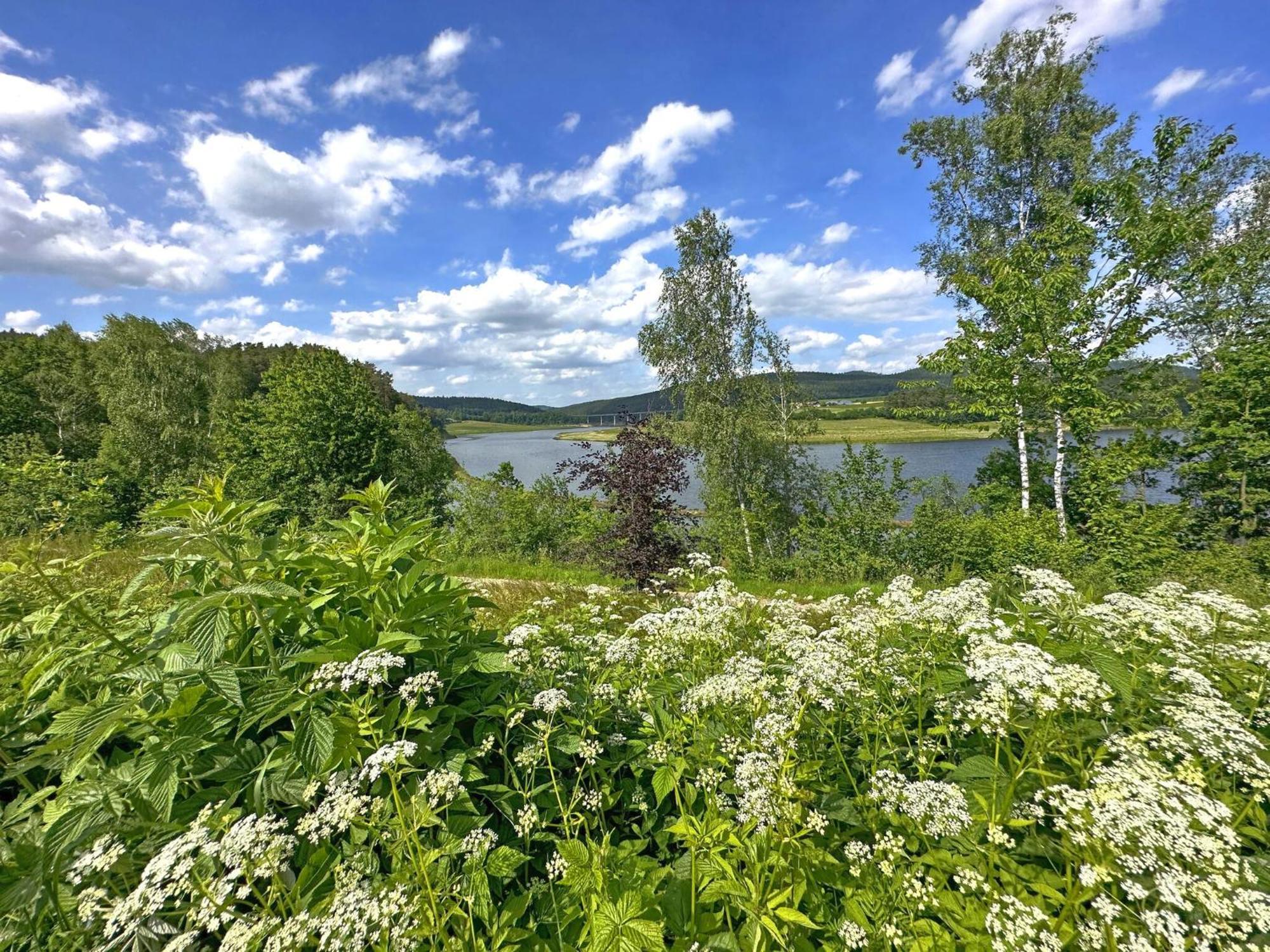 Feriendorf Seeblick - Tinyhouse Direkt Am See Нойнбург форм Валд Екстериор снимка